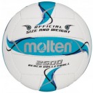 Tinklinio kamuolys Molten BV2500-FBO