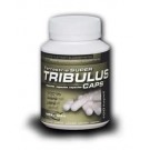 Tribulus